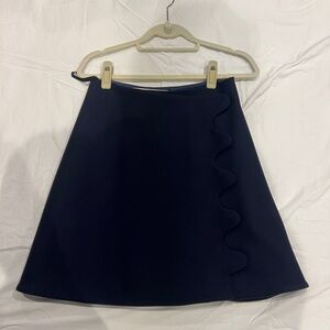 Chic Navy A-Line Women's Skirt